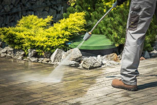 Best Boat and Dock Cleaning  in Runnemede, NJ